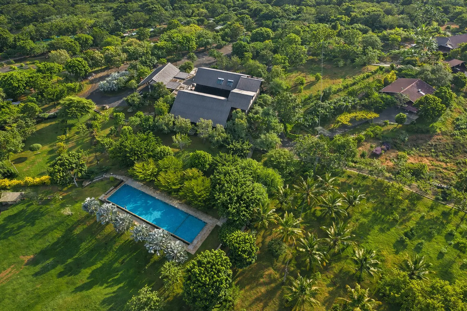 Birds Resort Nature Wilderness